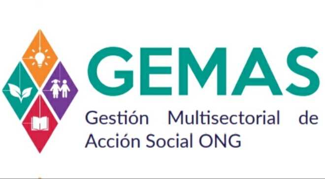 Organización no Gubernamental